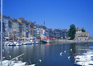 ロープ打診調査のメリットについて