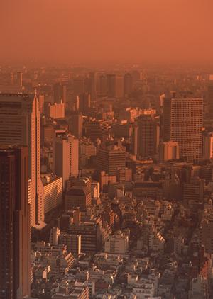 単身引越しなどのプランを使って